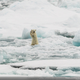 Illustration for article titled The best pictures from National Geographic's Photo Contest 2014